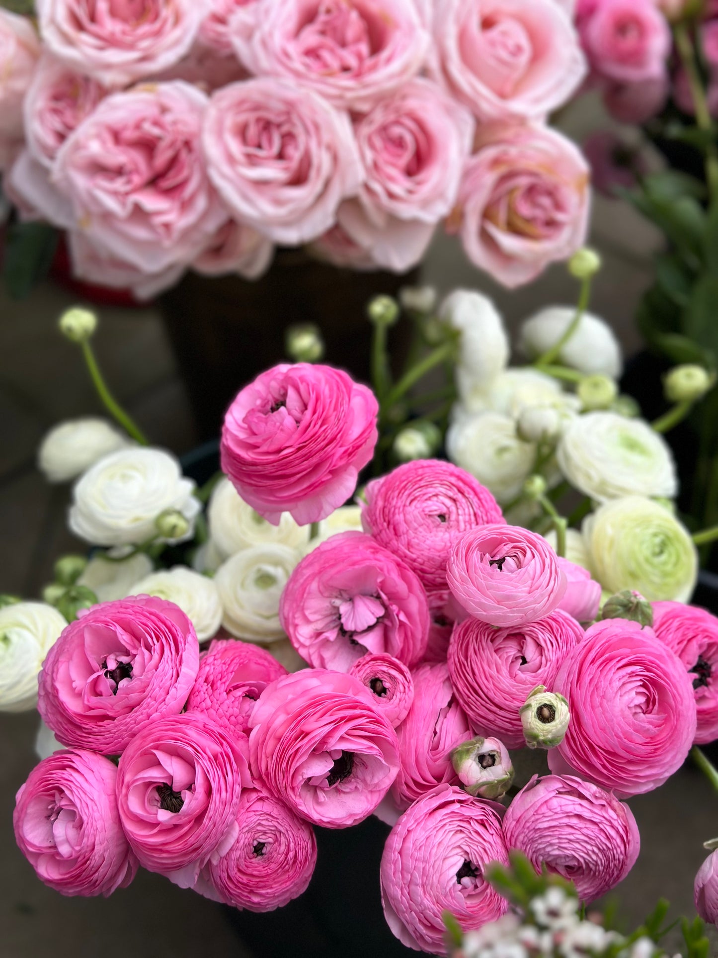Florist Choice Bouquet